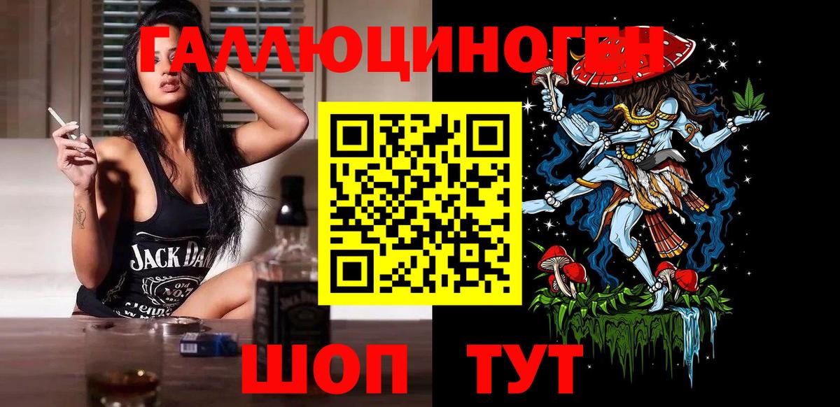 Галлюциногенные грибы Psilocybe Кудрово